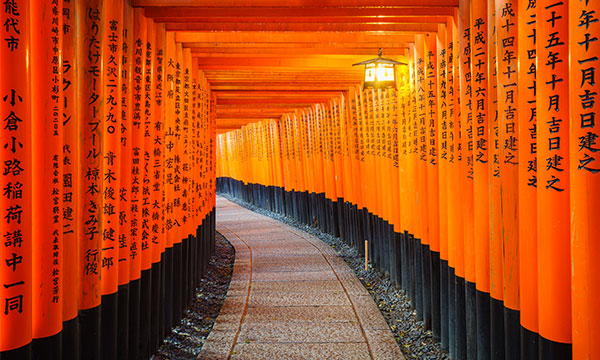 Seven Days Six Nights Honshu