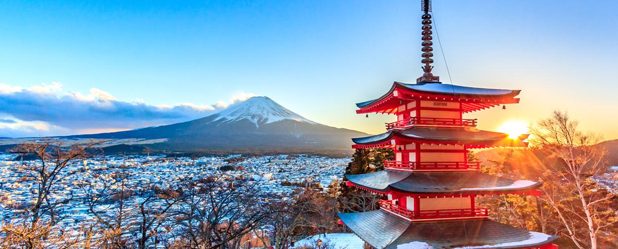 Half Day Tokyo Afternoon Day Tour